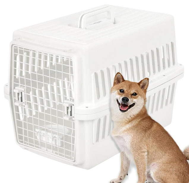 フレブル お迎え準備